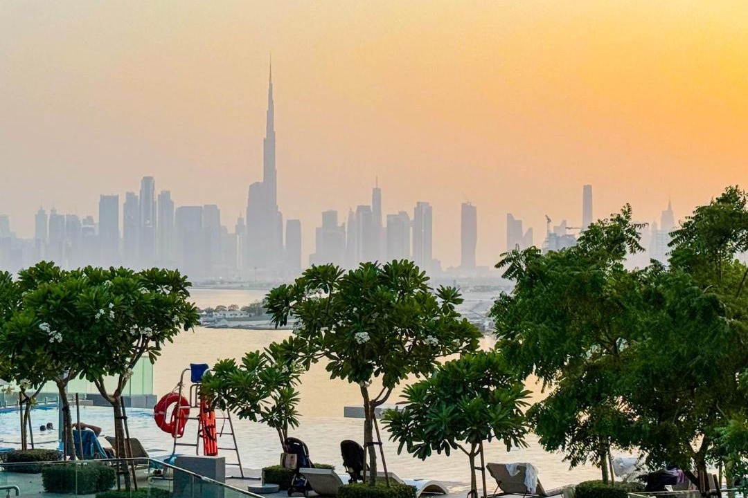 Photo of Others in Dubai