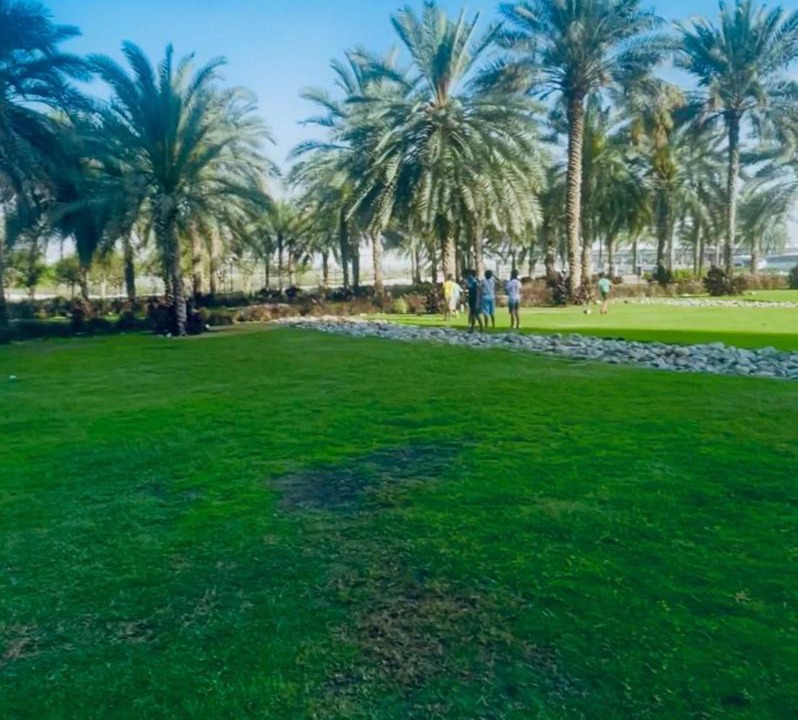 Photo of Others in Dubai