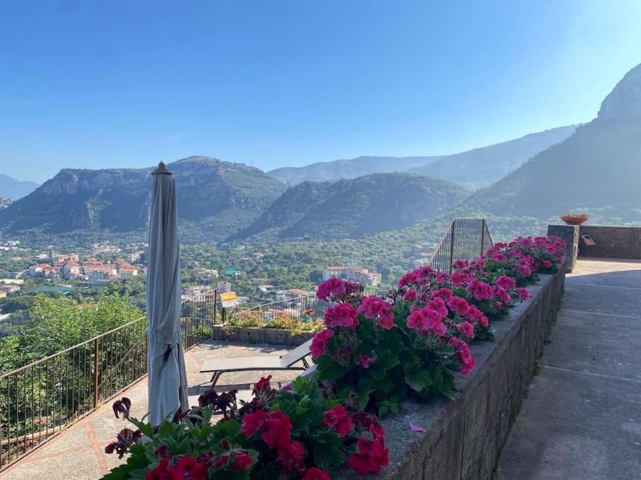 Photo of Others in Piano di Sorrento