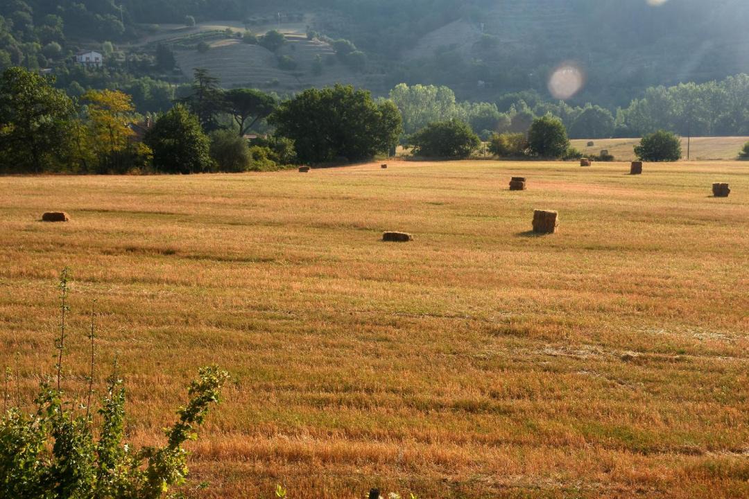 Photo of Others in Capolona