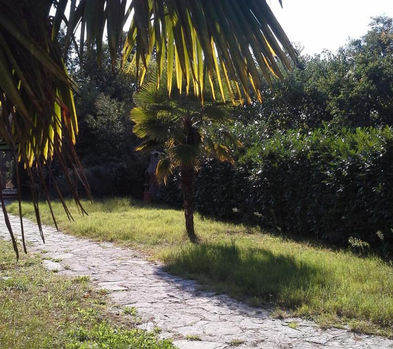 Photo of Others in Naples