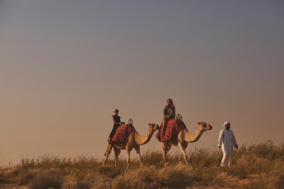 Photo of Others in Jumeirah