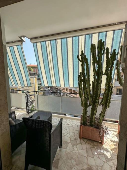 Photo of Patio Balcony in Materdei