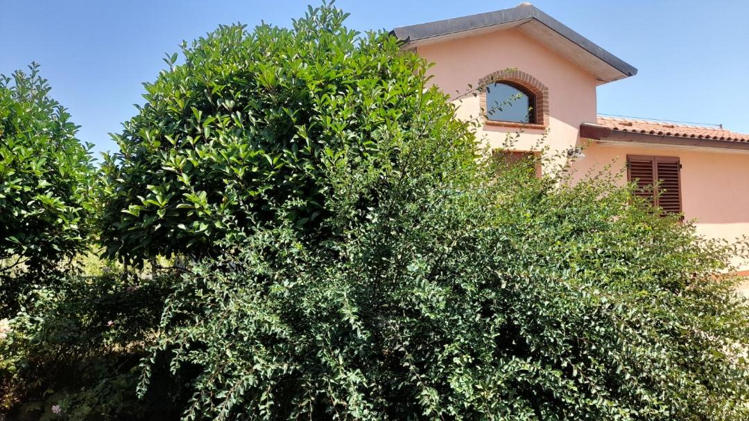 Photo of Buildings in Acquaviva