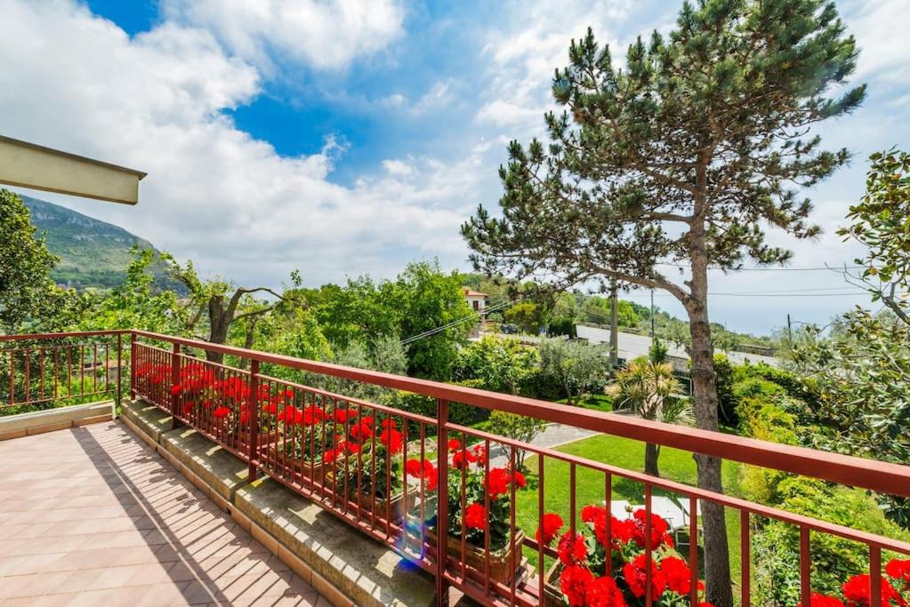 Photo of Patio Balcony in Piano di Sorrento