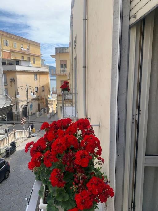Photo of Patio Balcony in Torre Annunziata