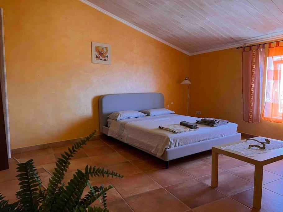 Photo of Others in Scalea