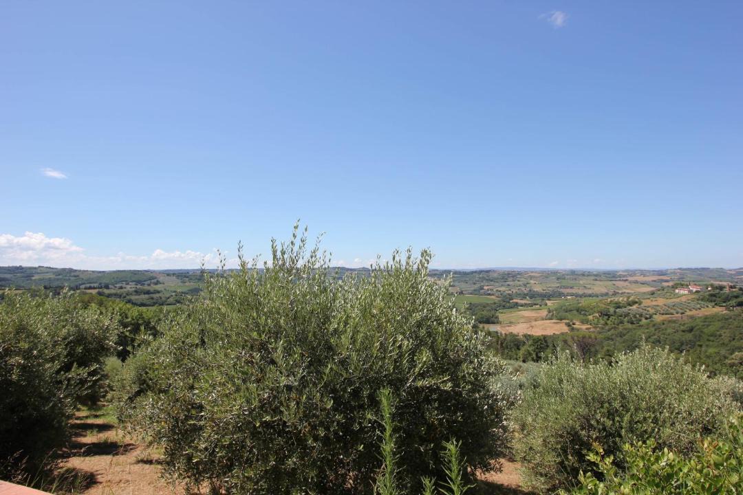 Photo of Others in Scandicci