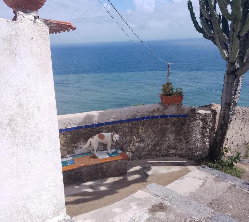 Photo of Patio Balcony in Raito