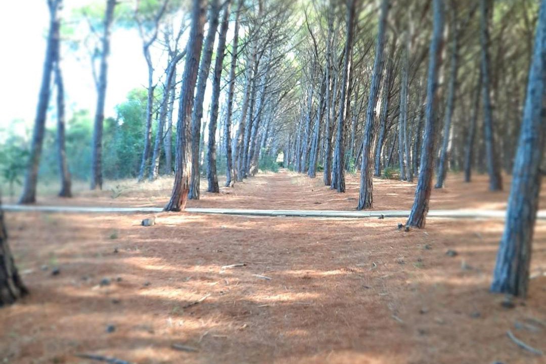 Photo of Outdoor in Contrada Difesa II VV
