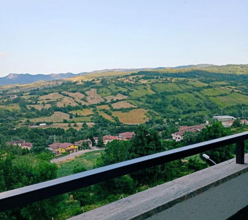 Photo of Others in Palena