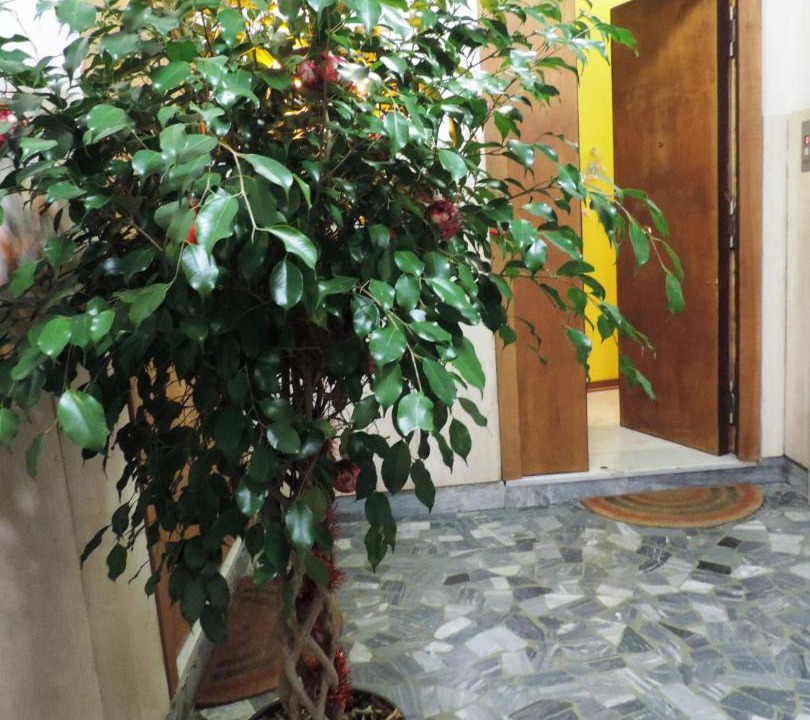 Photo of Others in Arenella