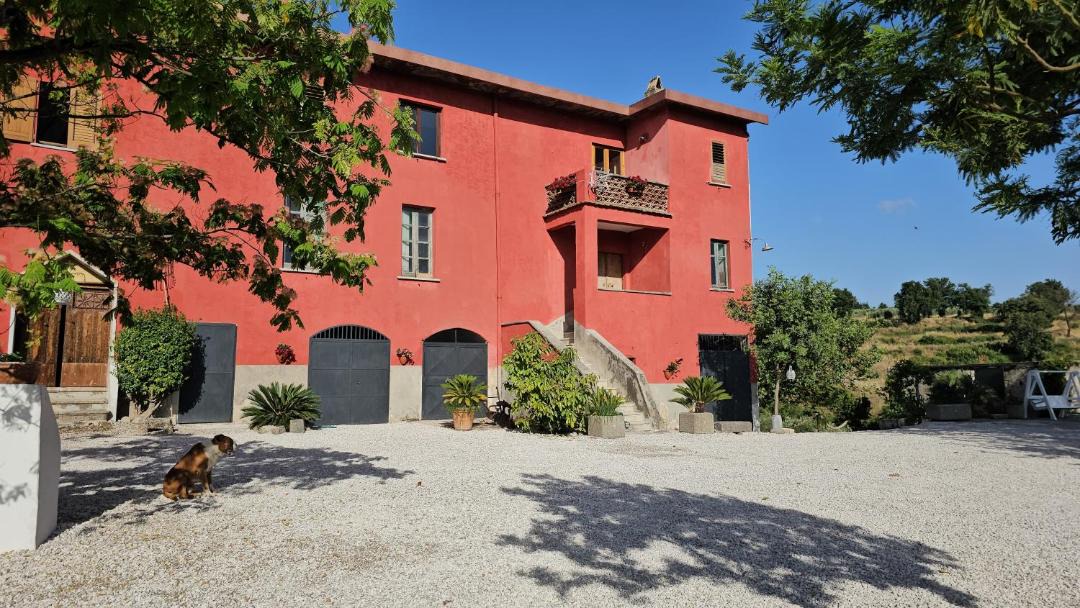 Photo of Others in Montecorvino Rovella