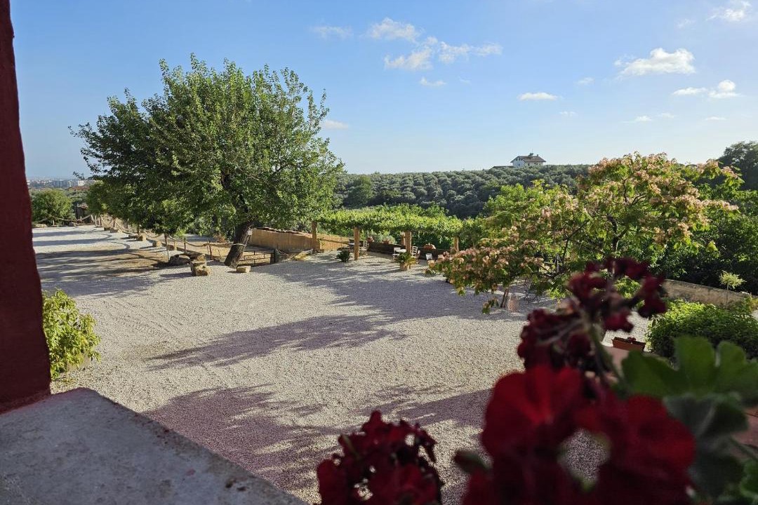 Photo of Others in Montecorvino Rovella