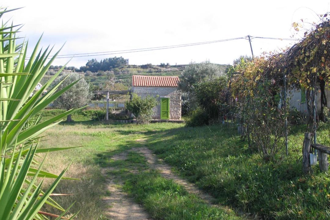 Photo of Others in Brattiro
