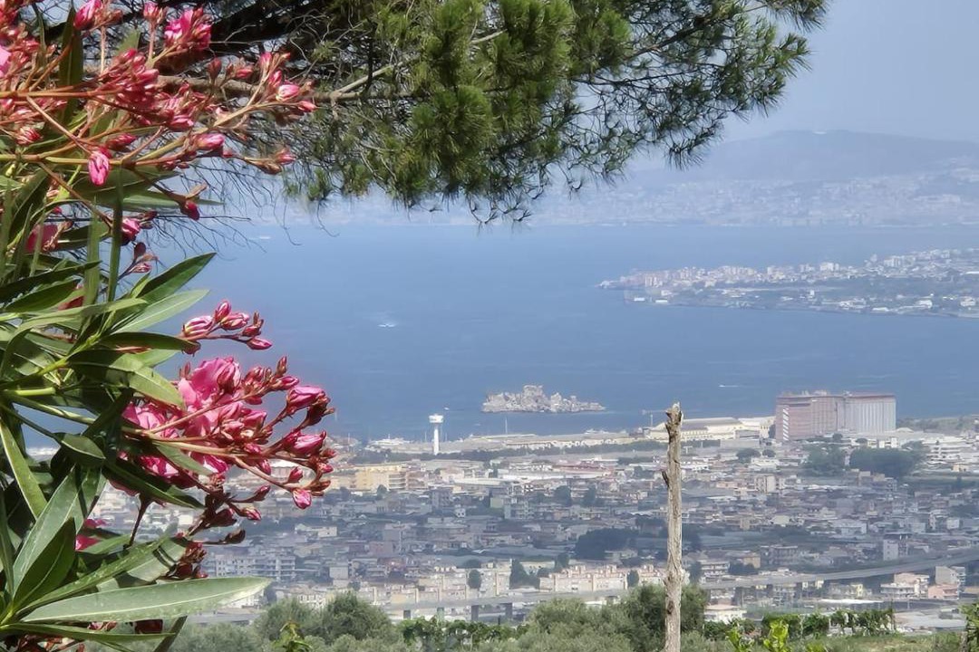 Photo of Others in Casola di Napoli
