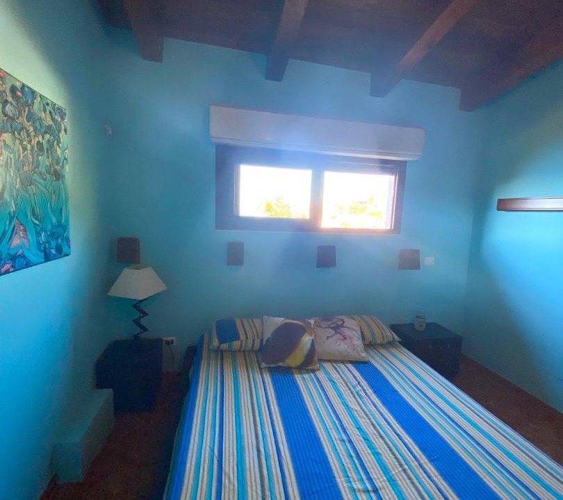 Photo of Others in Scilla
