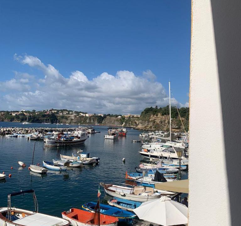 Photo of Others in Procida