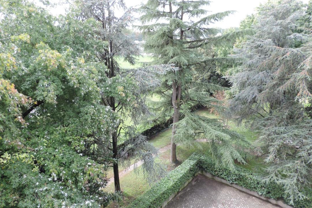 Photo of Others in Melzo
