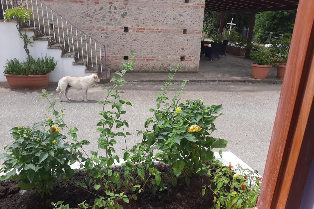 Photo of Others in Lamezia Terme