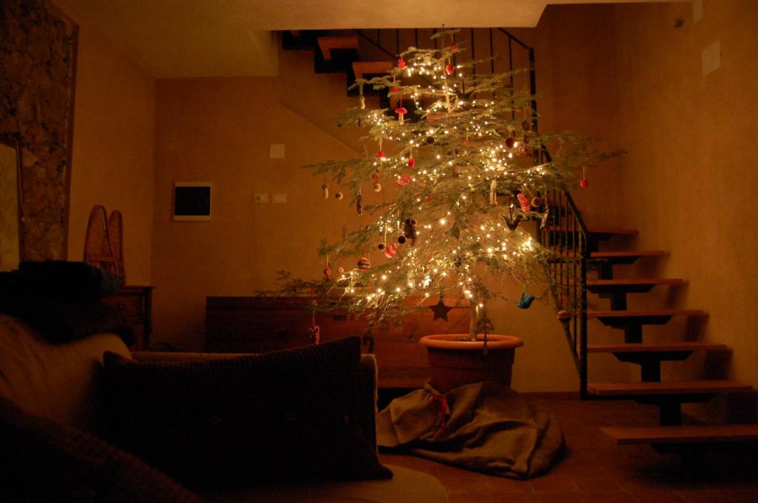 Photo of Livingroom in Celico