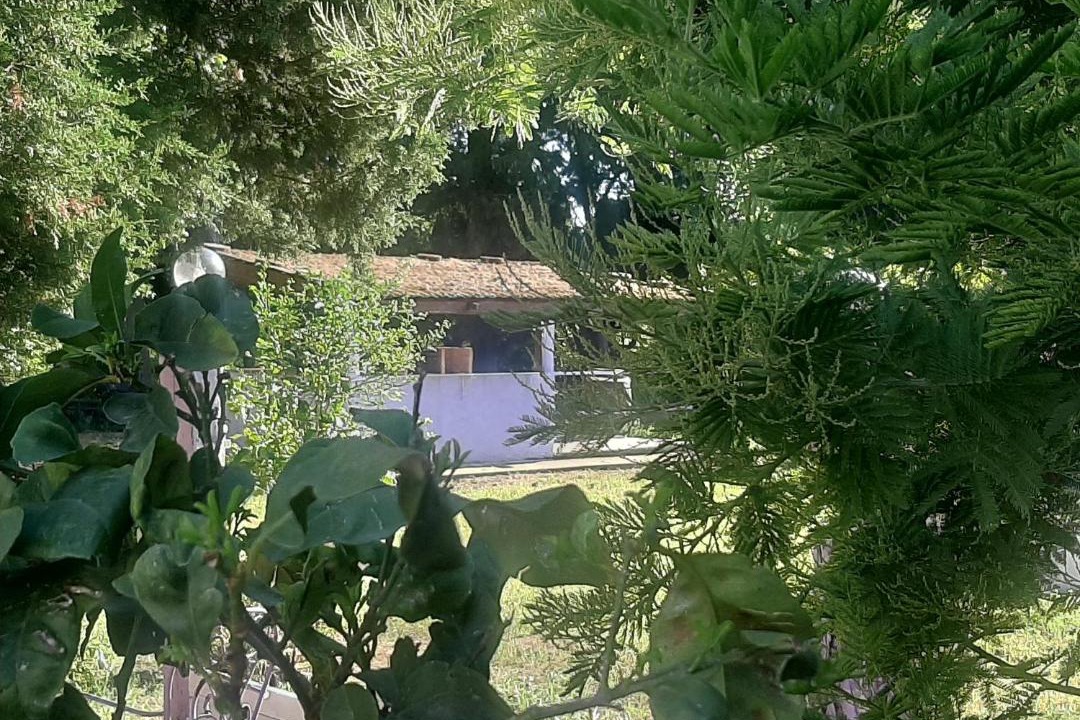 Photo of Others in Lamezia Terme