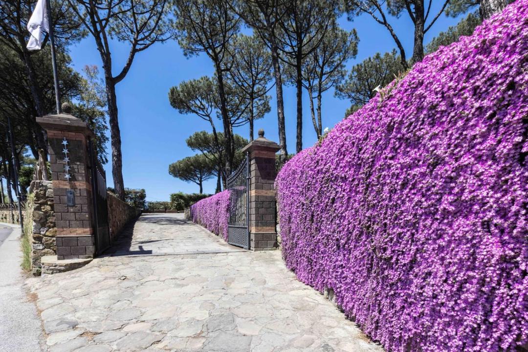 Photo of Outdoor in Sant'Agata sui Due Golfi