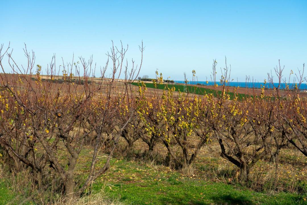 Photo of Outdoor in Portocannone