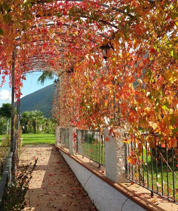 Photo of Others in Nocera Inferiore