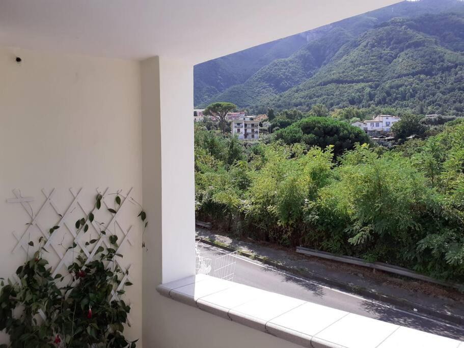 Photo of Others in Castellammare di Stabia