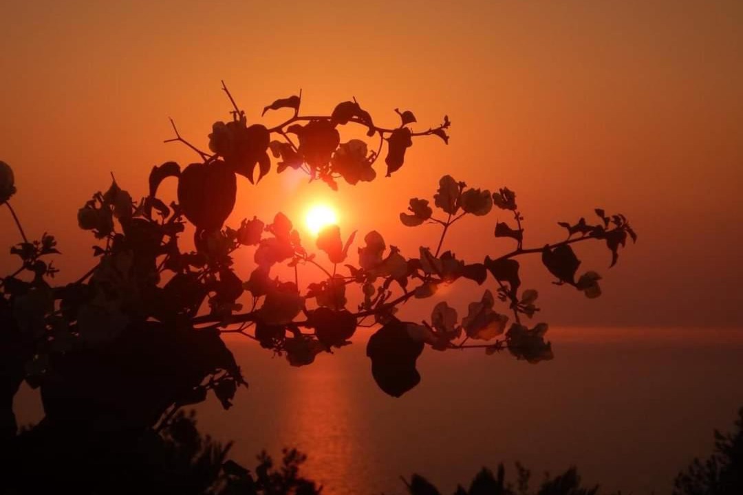 Photo of Others in Anacapri