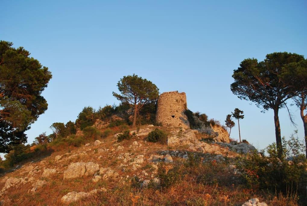 Photo of Others in Lanzara