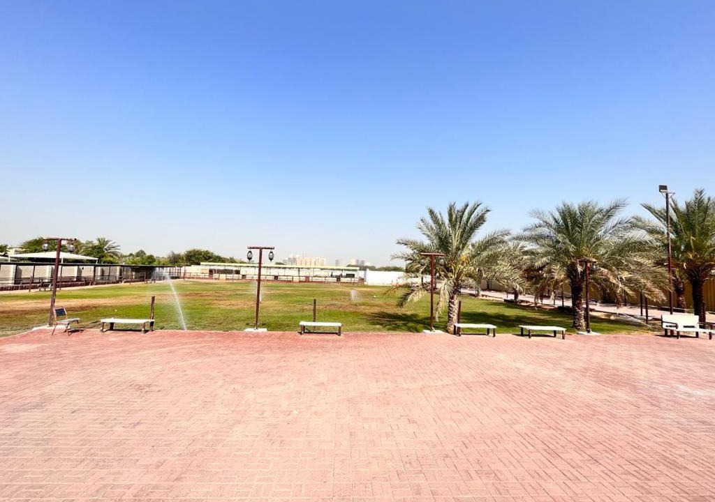 Photo of Others in Ajman
