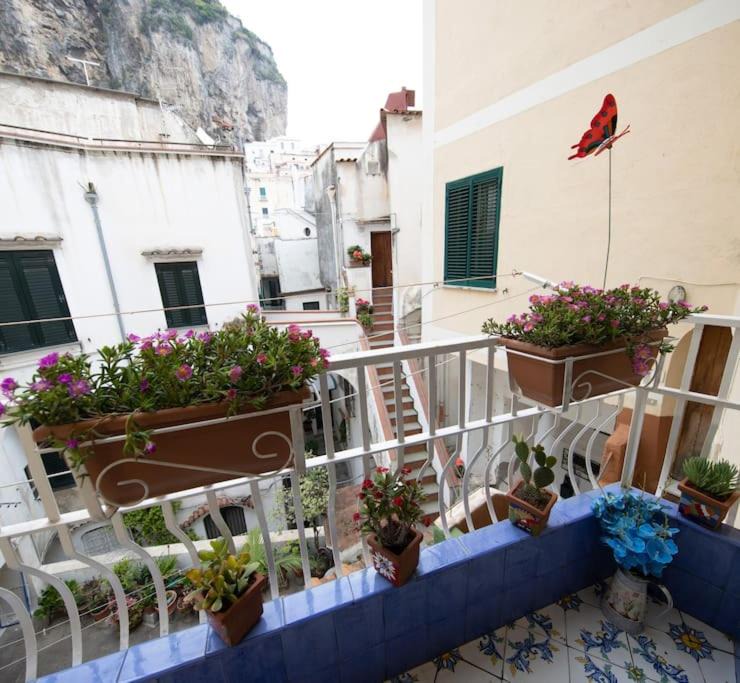 Photo of Others in Atrani