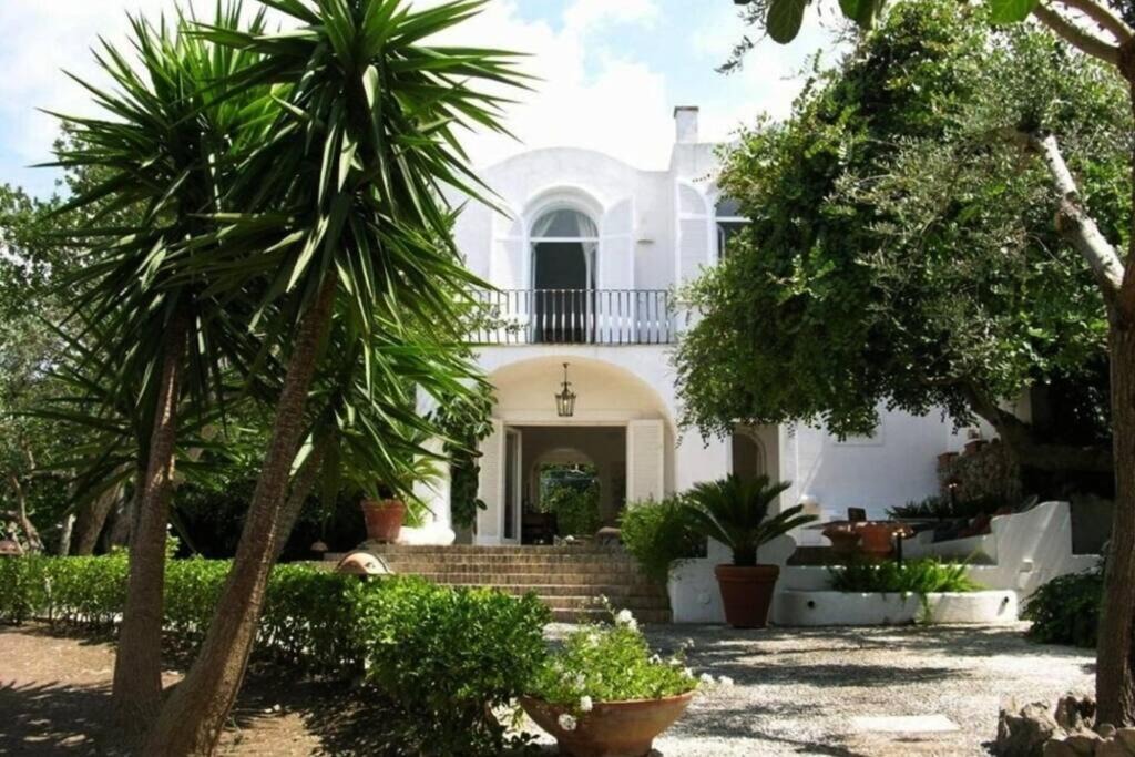 Photo of Others in Anacapri