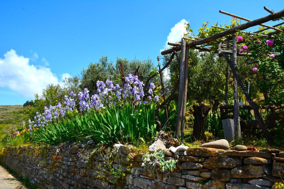 Photo of Others in Castellabate