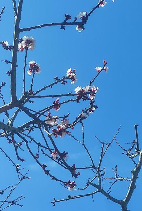 Photo of Outdoor in Tiberio