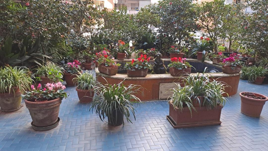 Photo of Patio Balcony in Rione Alto