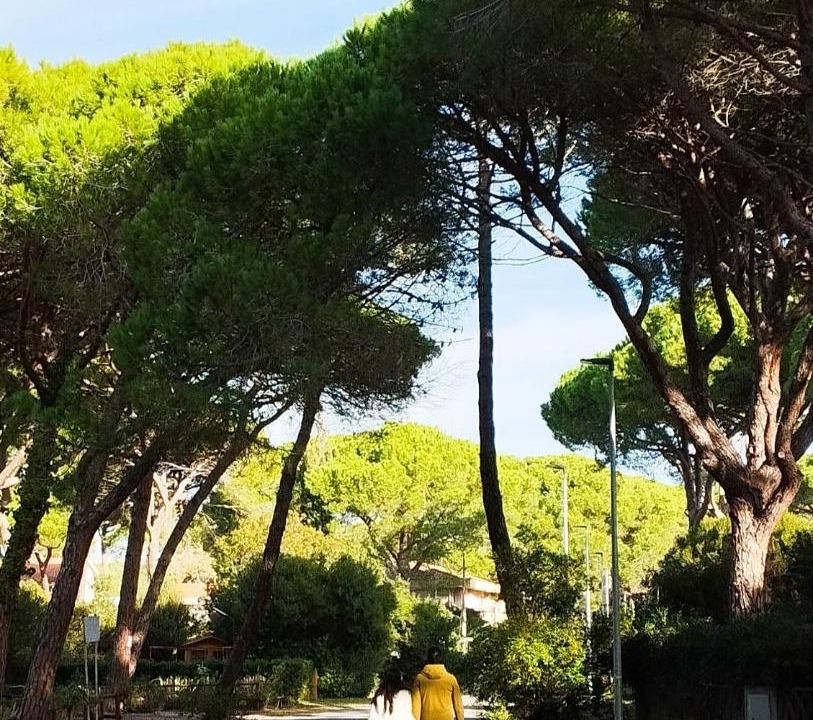 Photo of Others in Principina a Mare