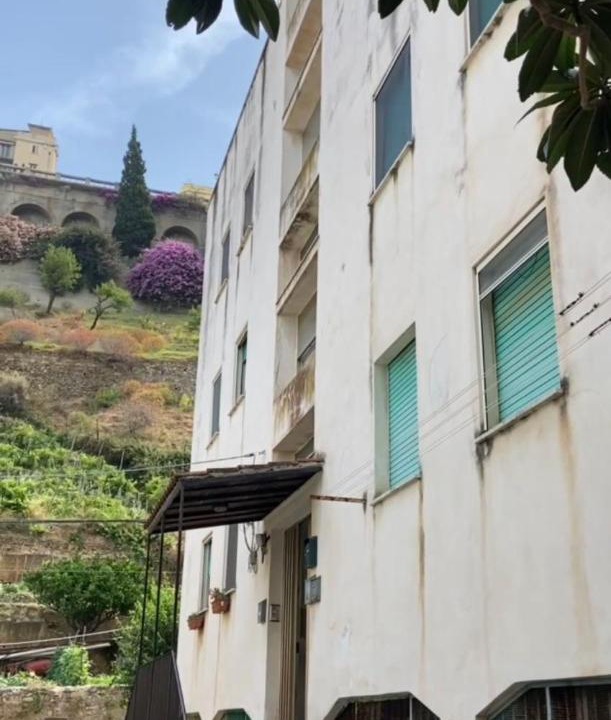 Photo of Others in Scilla