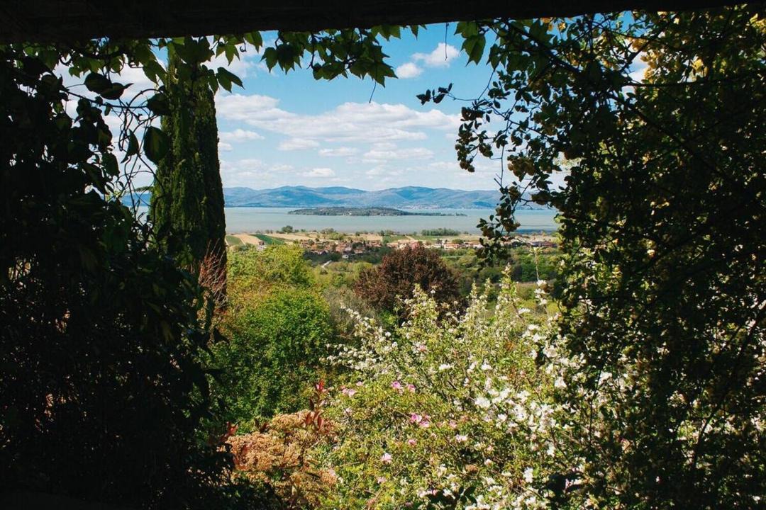 Photo of Others in Magione