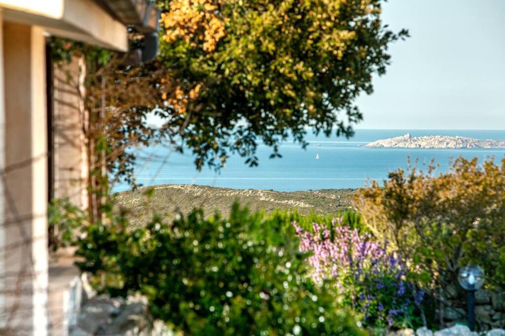 Photo of Outdoor in Santa Teresa di Gallura