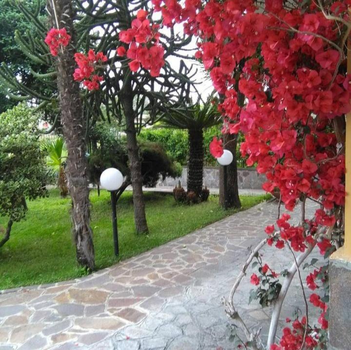 Photo of Others in Brusciano