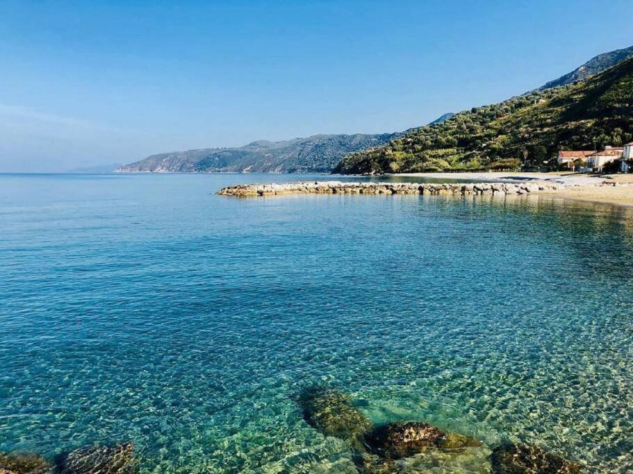 Photo of Others in Marina Lido