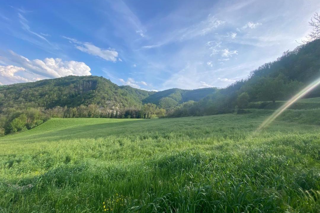 Photo of Outdoor in Camposonaldo