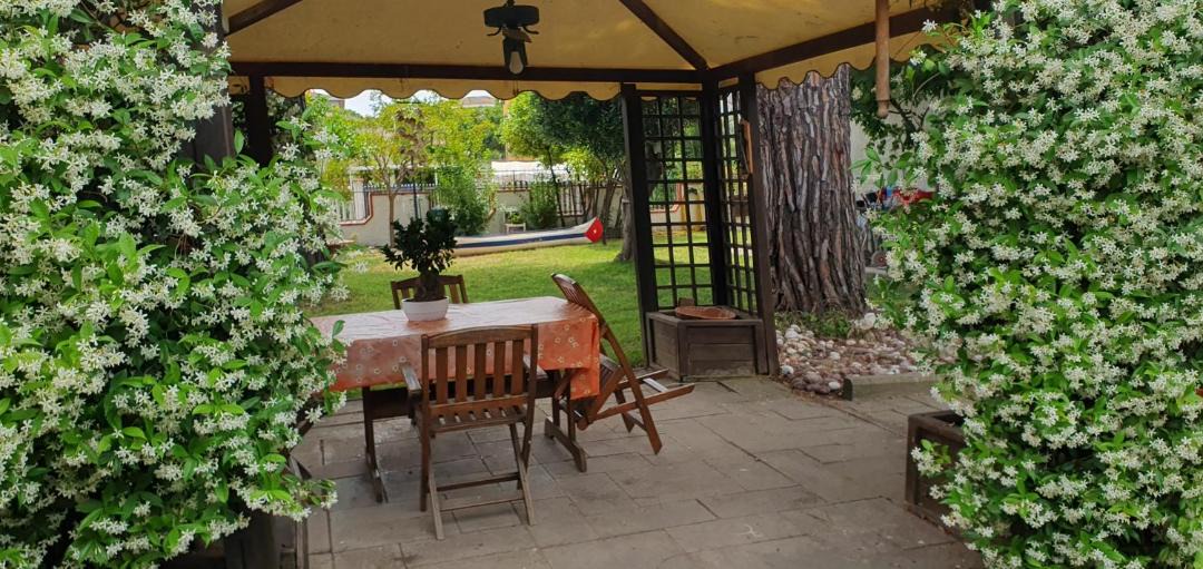 Photo of Patio Balcony in Silvi Marina