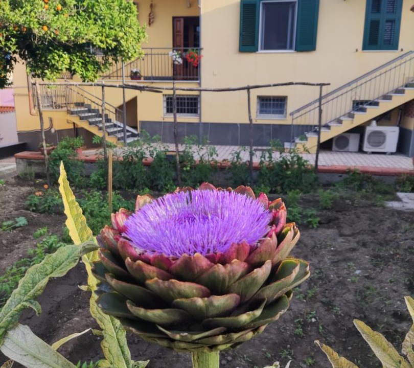 Photo of Outdoor in Naples