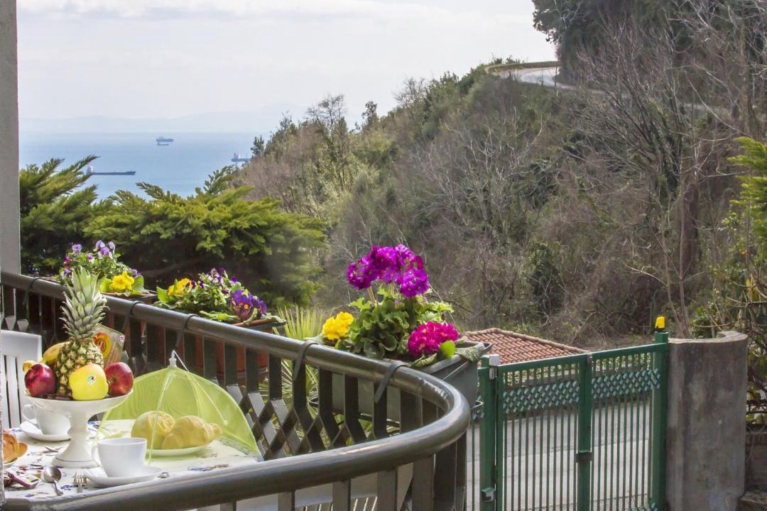 Photo of Patio Balcony in Raito