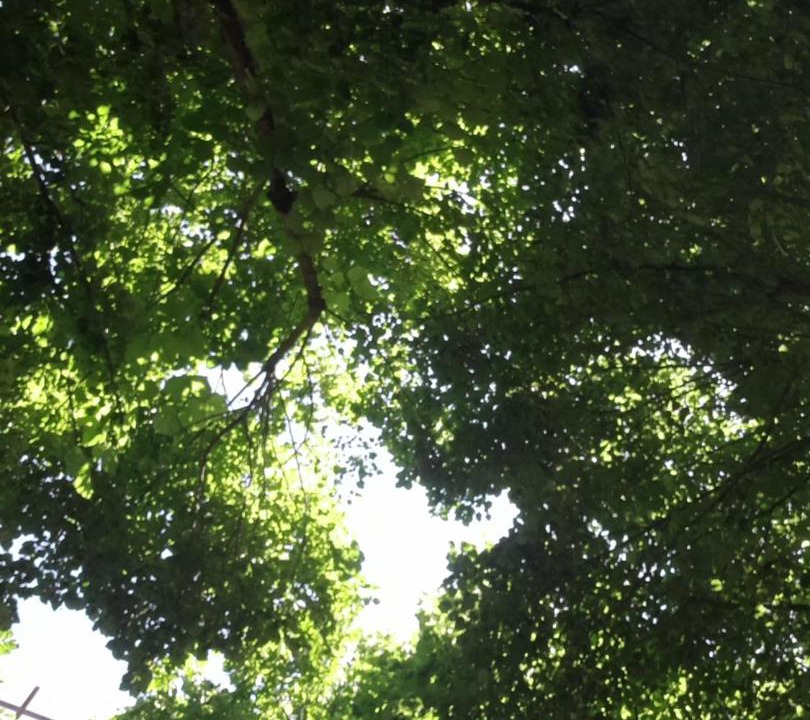 Photo of Outdoor in Circello