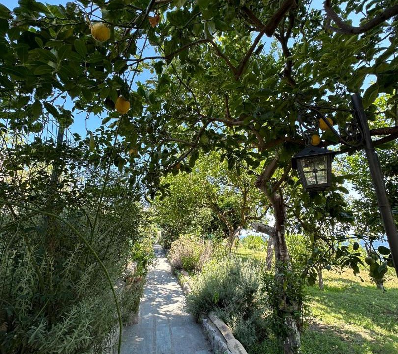 Photo of Others in Marina Grande